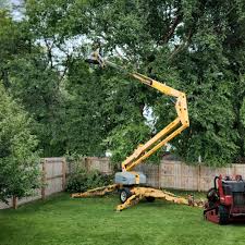 Grass Overseeding in Lakefield, MN